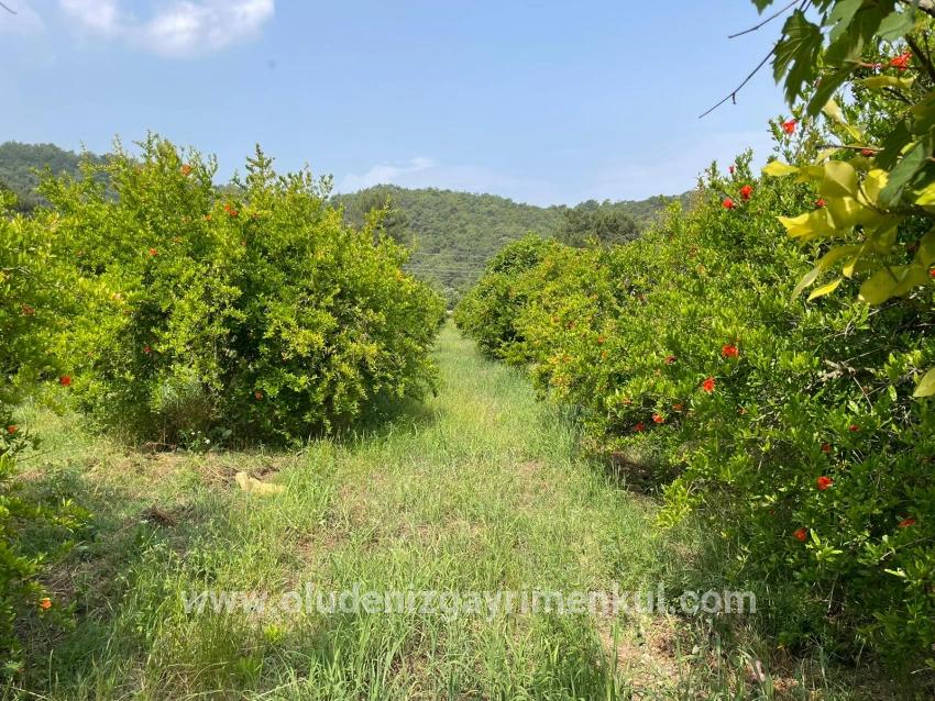 Field For sale in Gökbel Nbh. Ortaca - Housing Zoned - 7.800 m²
