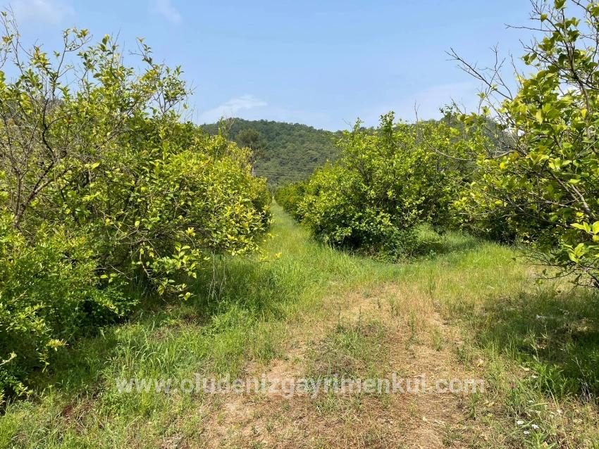 Field For sale in Gökbel Nbh. Ortaca - Housing Zoned - 7.800 m²