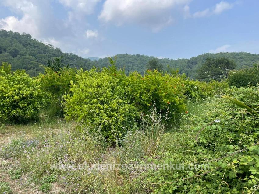 Field For sale in Gökbel Nbh. Ortaca - Housing Zoned - 7.800 m²