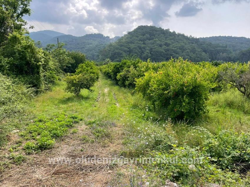 Field For sale in Gökbel Nbh. Ortaca - Housing Zoned - 7.800 m²