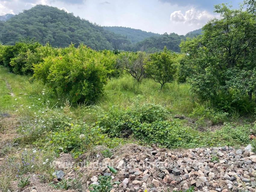 Field For sale in Gökbel Nbh. Ortaca - Housing Zoned - 7.800 m²