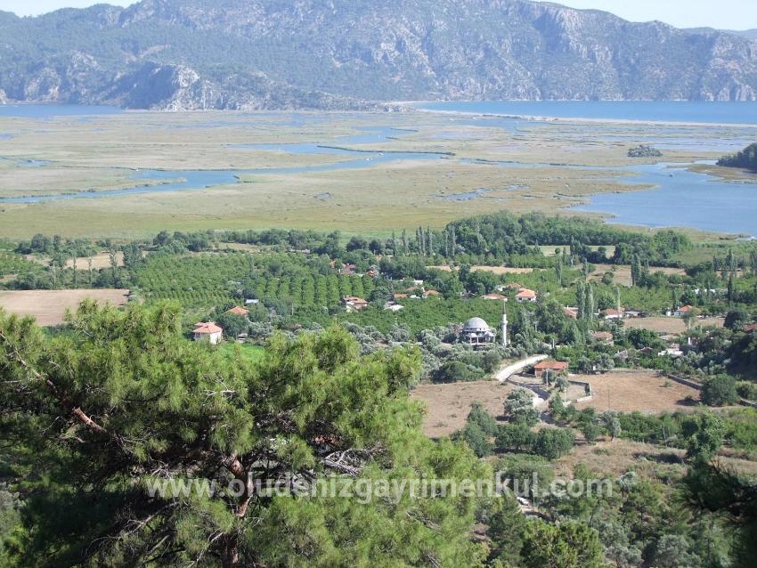 Field For sale in Çandır Nbh. Köyceğiz - Field Zoned - 19.334 m²