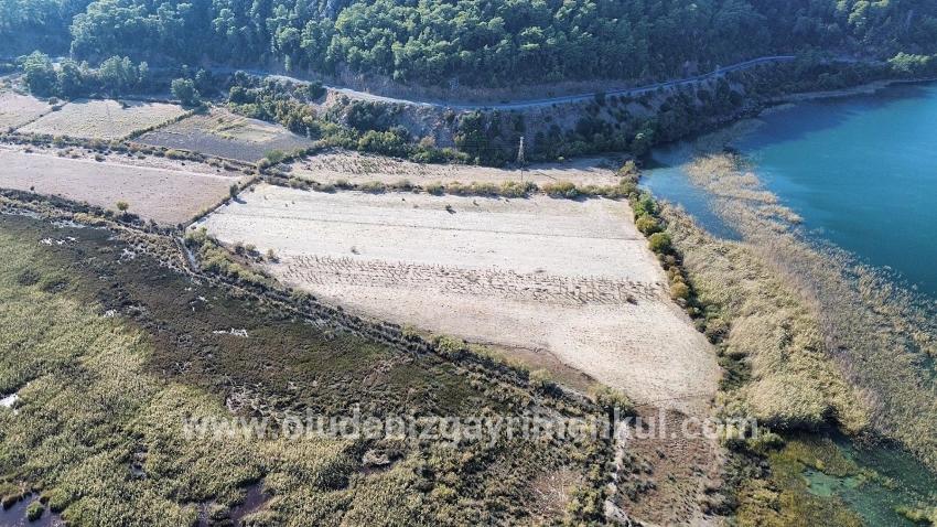 Field For sale in Sultaniye Nbh. Köyceğiz - Field Zoned - 3.210 m²