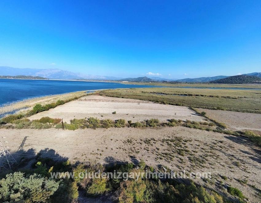 Field For sale in Sultaniye Nbh. Köyceğiz - Field Zoned - 3.210 m²