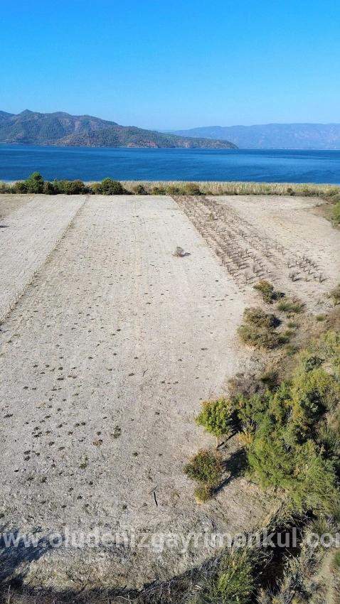 Field For sale in Sultaniye Nbh. Köyceğiz - Field Zoned - 3.210 m²