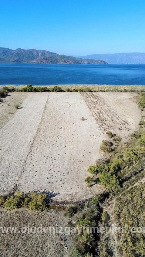 Field For sale in Sultaniye Nbh. Köyceğiz - Field Zoned - 3.210 m²