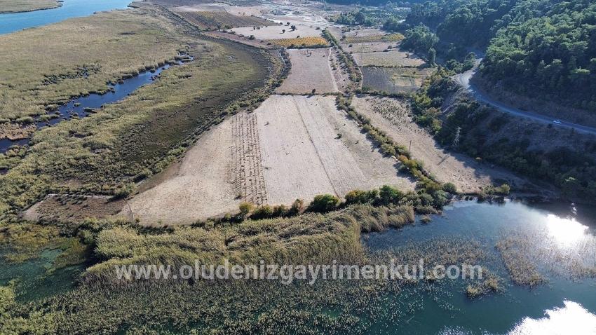 Field For sale in Sultaniye Nbh. Köyceğiz - Field Zoned - 3.210 m²