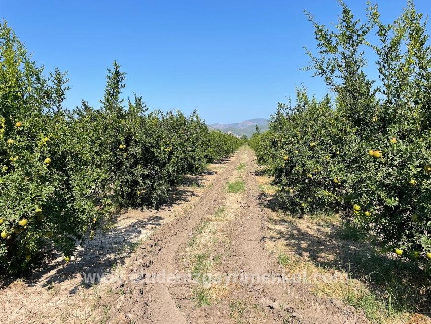 Field For sale in Dalyan Nbh. Ortaca - Housing Zoned - 10.000 m²