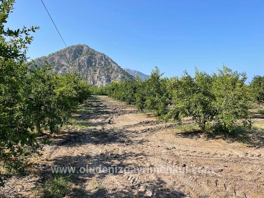 Field For sale in Dalyan Nbh. Ortaca - Housing Zoned - 10.000 m²
