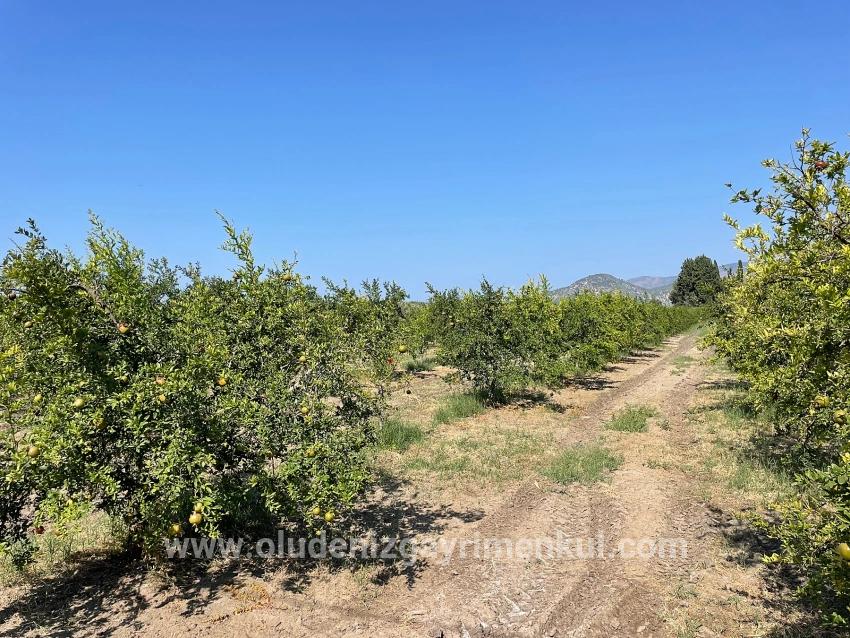 Field For sale in Dalyan Nbh. Ortaca - Housing Zoned - 10.000 m²