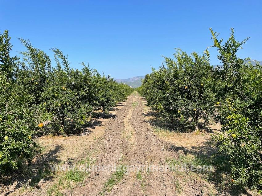 Field For sale in Dalyan Nbh. Ortaca - Housing Zoned - 10.000 m²