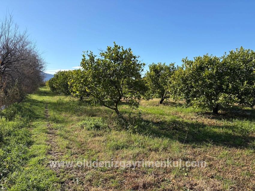 Field For sale in Dalyan Nbh. Ortaca - Field Zoned - 16.500 m²