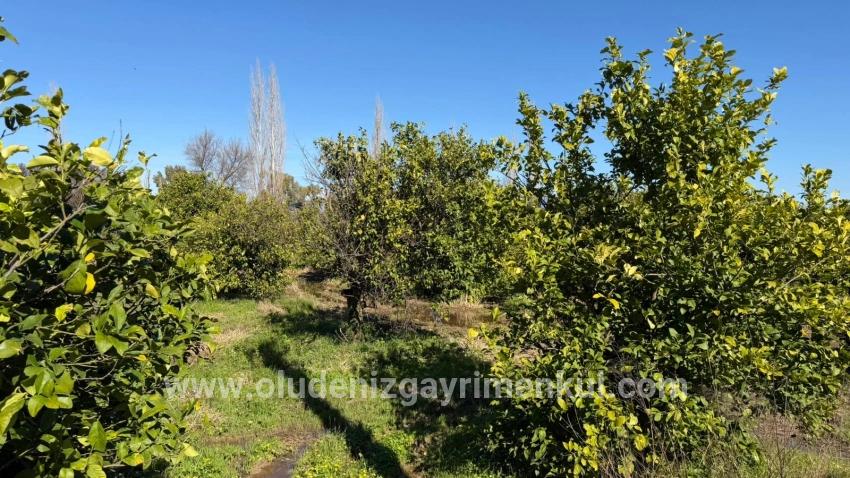 2.218m2 Land For Sale In Okçular Marmarlı
