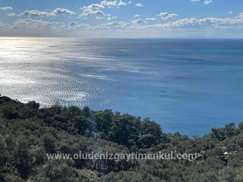 Çandır 20.000m2 2b For Sale With Full Sea View