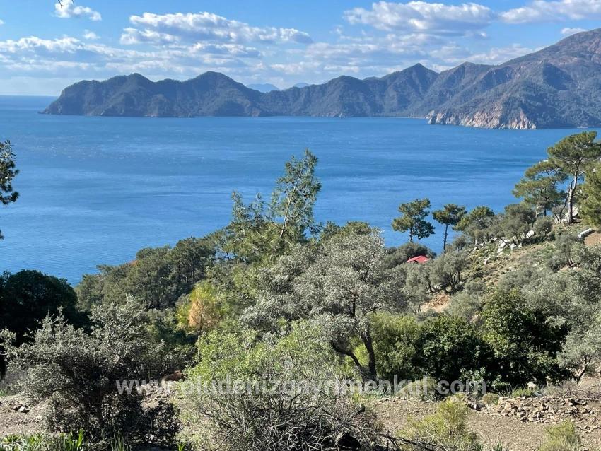 Çandır 20.000m2 2b For Sale With Full Sea View