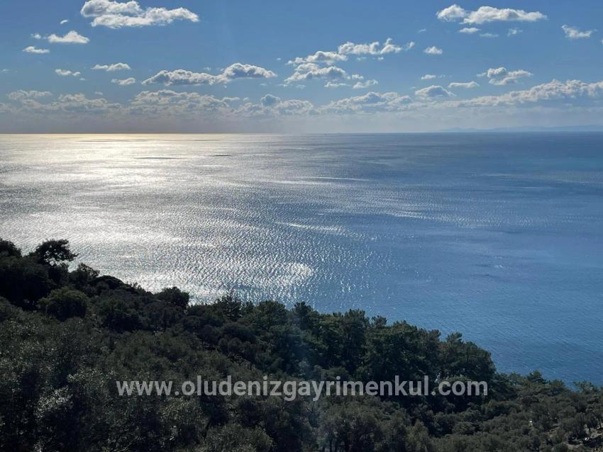 Çandır 20.000m2 2b For Sale With Full Sea View