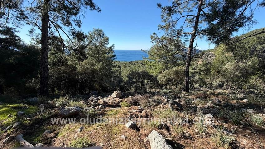 Field For sale in Çandır Nbh. Köyceğiz - Housing Zoned - 5.715 m²