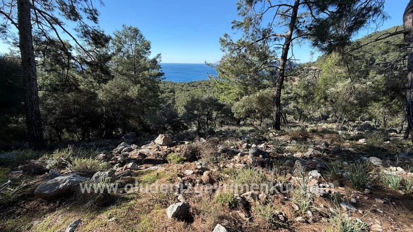 Field For sale in Çandır Nbh. Köyceğiz - Housing Zoned - 5.715 m²