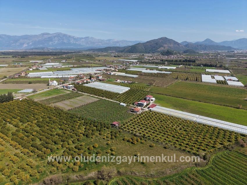17.550m2 Vineyard-bahce For Sale Close To Dalyan Center