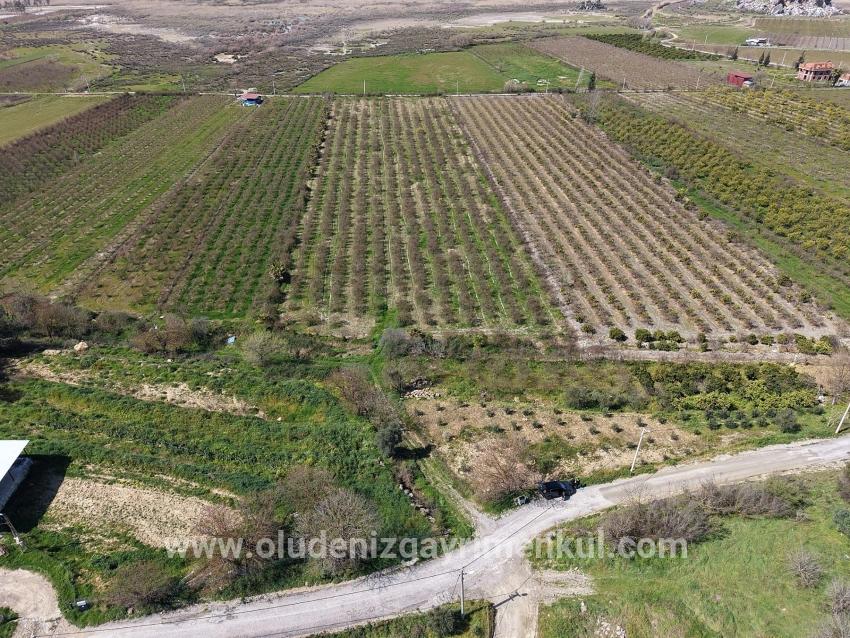 16.710m2 Pomegranate Garden For Sale With Lake View In Eskiköy