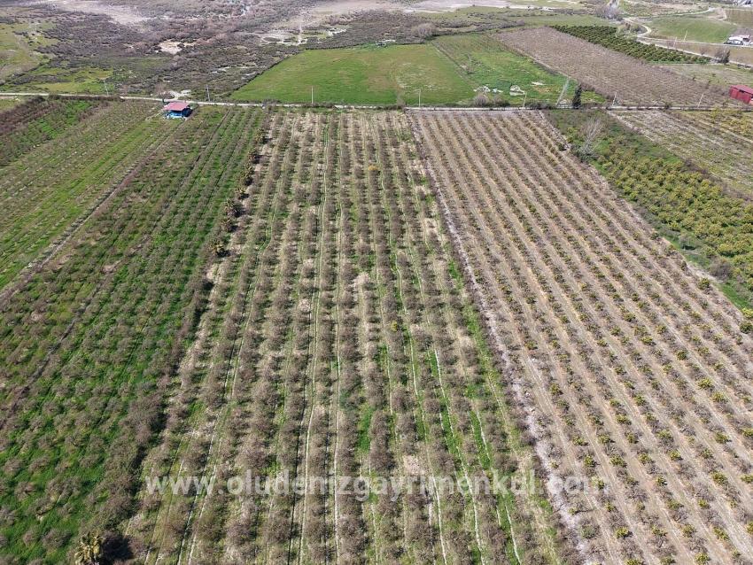 16.710m2 Pomegranate Garden For Sale With Lake View In Eskiköy