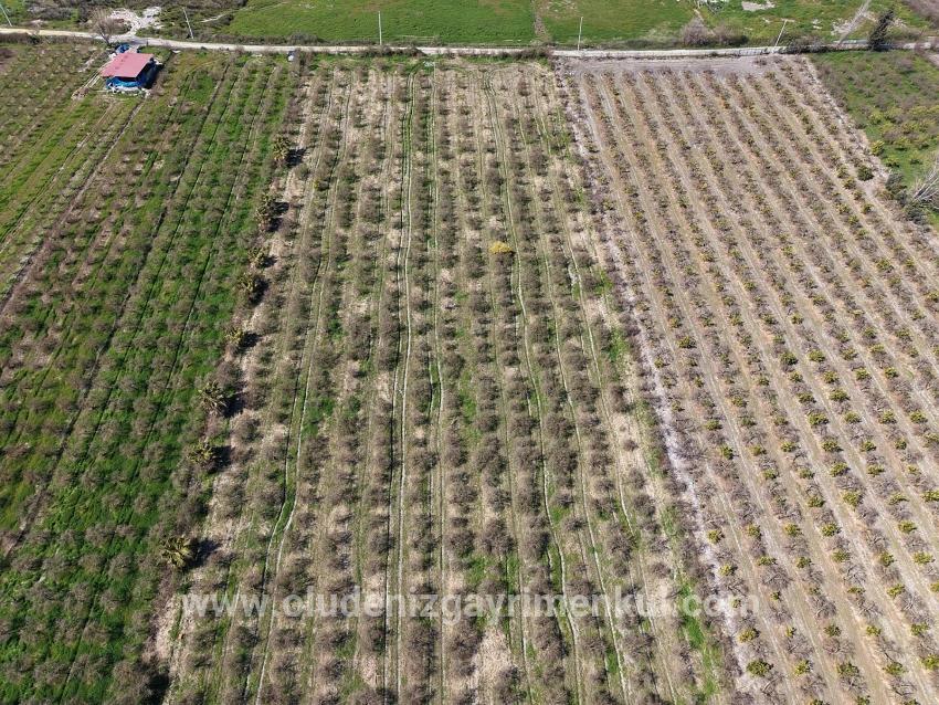16.710m2 Pomegranate Garden For Sale With Lake View In Eskiköy