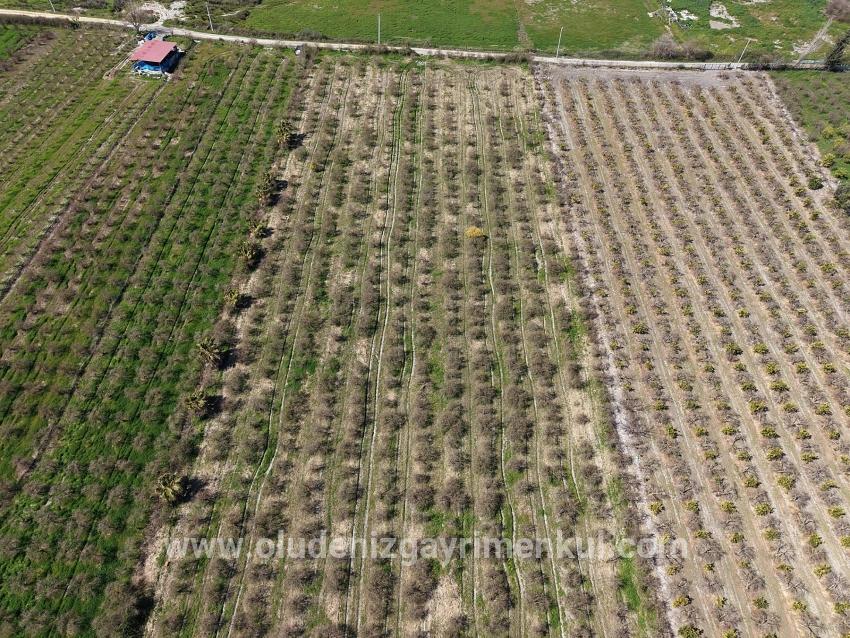 16.710m2 Pomegranate Garden For Sale With Lake View In Eskiköy