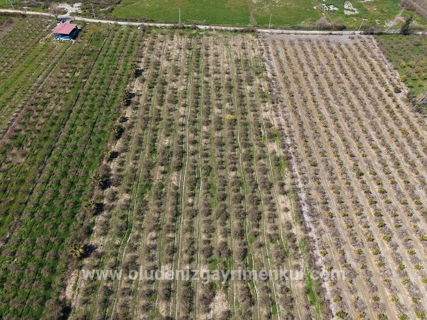 16.710m2 Pomegranate Garden For Sale With Lake View In Eskiköy