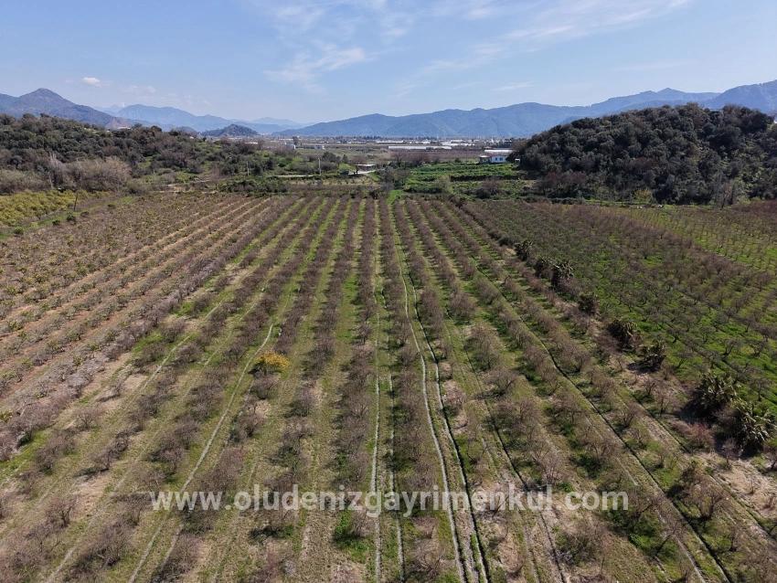 16.710m2 Pomegranate Garden For Sale With Lake View In Eskiköy