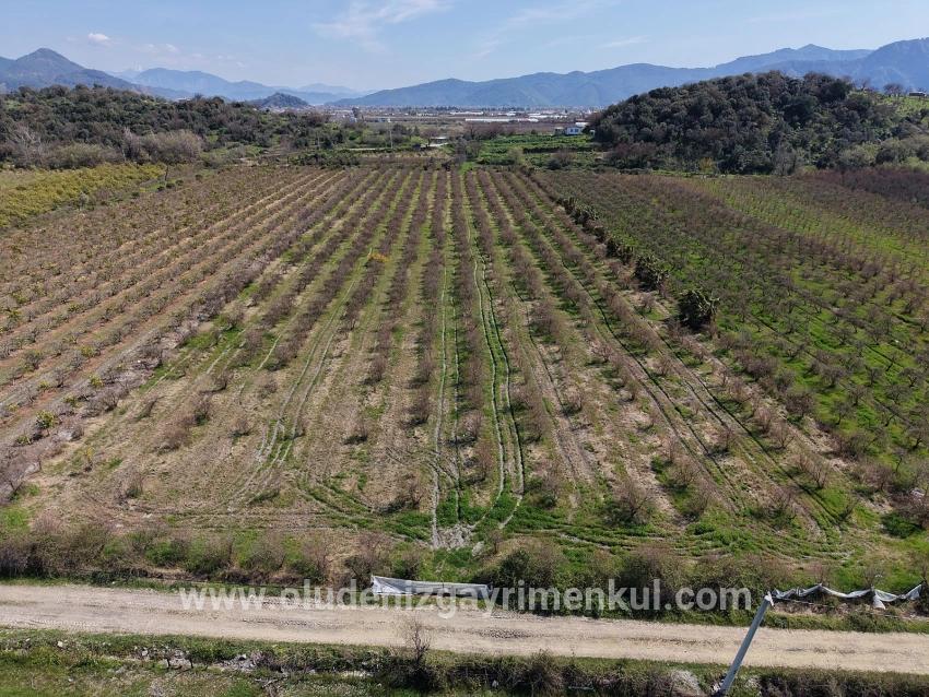16.710m2 Pomegranate Garden For Sale With Lake View In Eskiköy