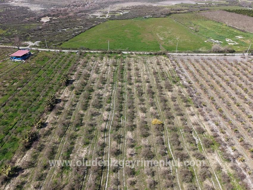 16.710m2 Pomegranate Garden For Sale With Lake View In Eskiköy