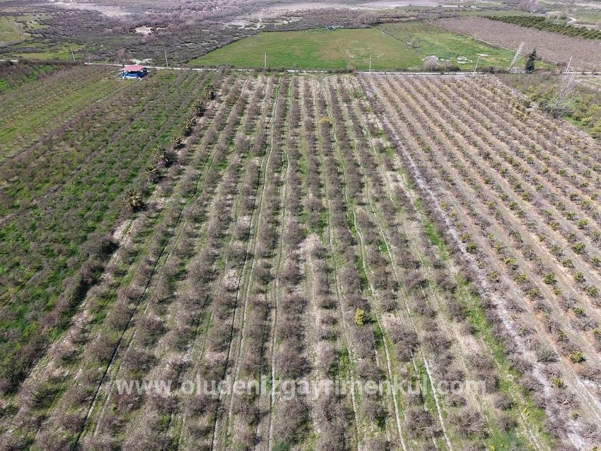 16.710m2 Pomegranate Garden For Sale With Lake View In Eskiköy