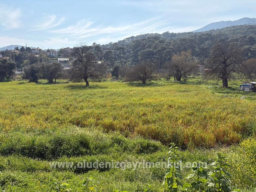 2,023 M² Plot Of Land For Sale In Çandır Village, Köyceğiz, With Shared Ownership And Voluntary Partition.