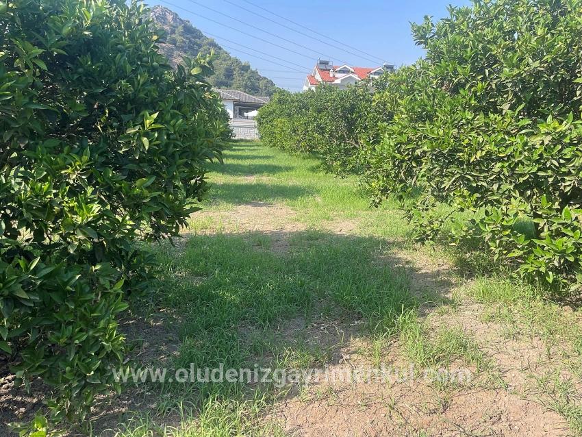 722m2 Land For Sale In Dalyan Gülpınar
