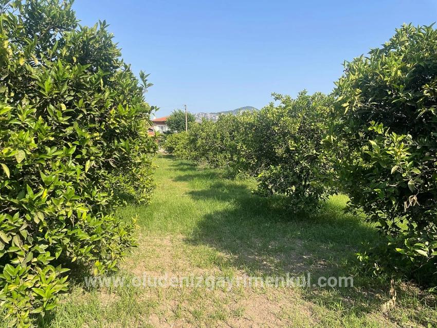 722m2 Land For Sale In Dalyan Gülpınar