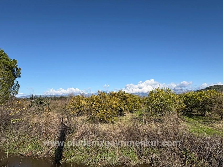 Field For sale in Tepearası Nbh. Ortaca - Vineyards & orchards Zoned - 23.000 m²