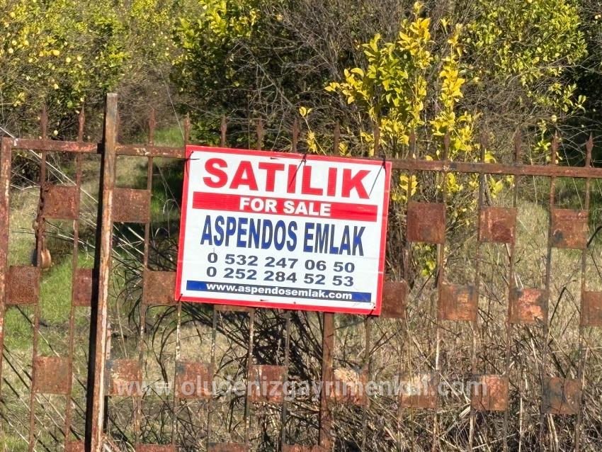 Field For sale in Tepearası Nbh. Ortaca - Vineyards & orchards Zoned - 23.000 m²