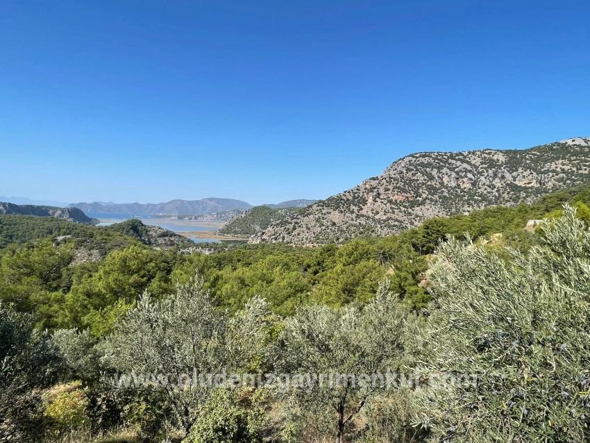 Land For sale in Gökbel Nbh. Ortaca - Housing Zoned - 3.514 m²