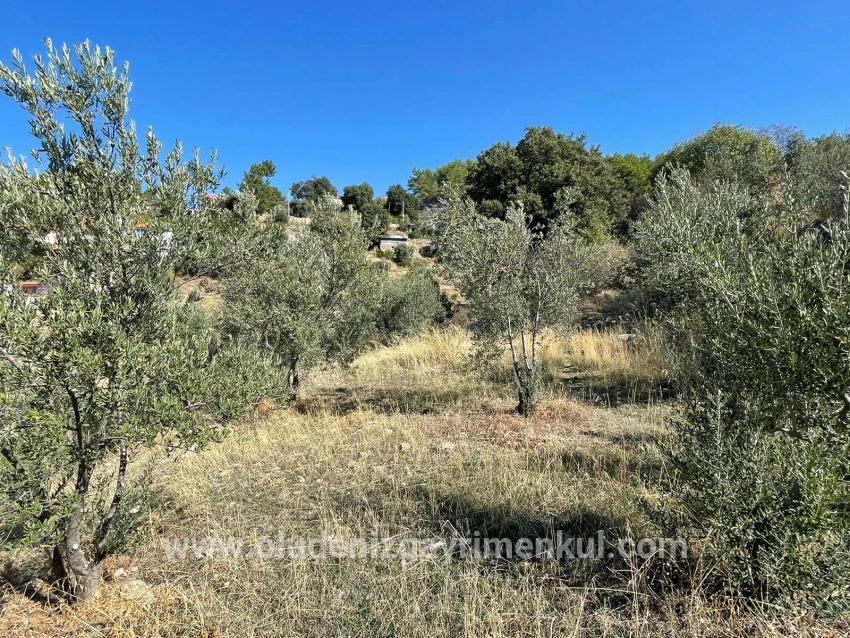Land For sale in Gökbel Nbh. Ortaca - Housing Zoned - 3.514 m²