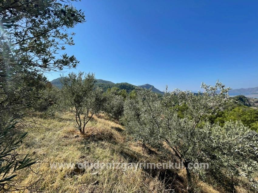 Land For sale in Gökbel Nbh. Ortaca - Housing Zoned - 3.514 m²