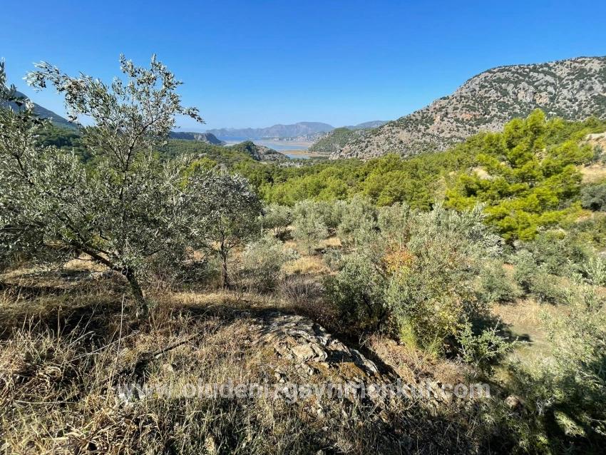 Land For sale in Gökbel Nbh. Ortaca - Housing Zoned - 3.514 m²