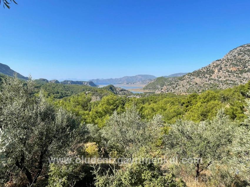 Land For sale in Gökbel Nbh. Ortaca - Housing Zoned - 3.514 m²