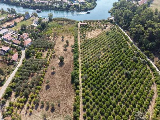 Village of Köyceğiz Çandır Neighbourhood with zero channel 20,000m2 for sale land