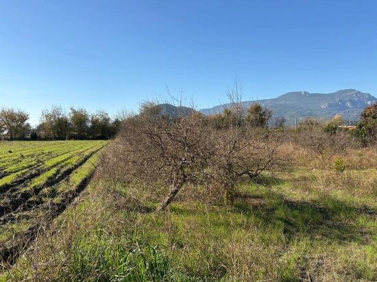 4,541 M² Garden For Sale In Dalyan.