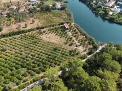 Field For sale in Çandır Nbh. Köyceğiz - Field Zoned - 20.000 m²