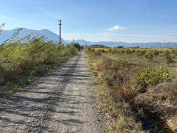 Field For sale in Eskiköy Nbh. Ortaca - Field Zoned - 21.500 m²