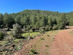 Field For sale in Gökbel Nbh. Ortaca - Field Zoned - 24.163 m²