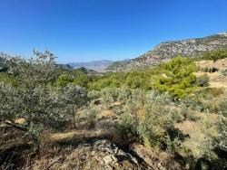 Land For sale in Gökbel Nbh. Ortaca - Housing Zoned - 3.514 m²