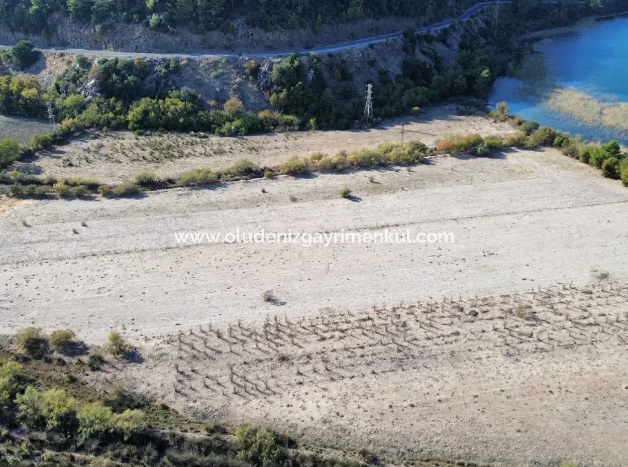 3210M2 2B Land For Sale By The Lake In Çandır