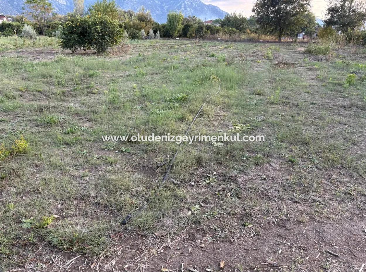 7,450M2 Land For Sale Close To The Center Of Dalyan